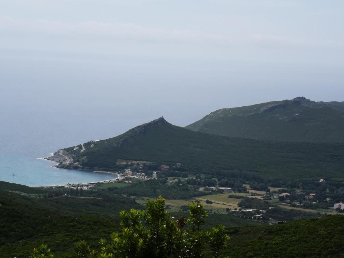 Maison De Village A 2 Km De La Mer Sisco Cap Corse 15 Kms Bastia ภายนอก รูปภาพ