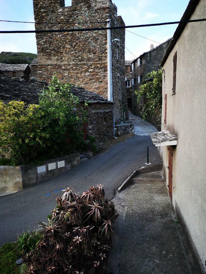 Maison De Village A 2 Km De La Mer Sisco Cap Corse 15 Kms Bastia ภายนอก รูปภาพ