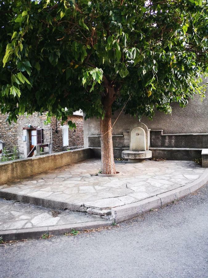 Maison De Village A 2 Km De La Mer Sisco Cap Corse 15 Kms Bastia ภายนอก รูปภาพ