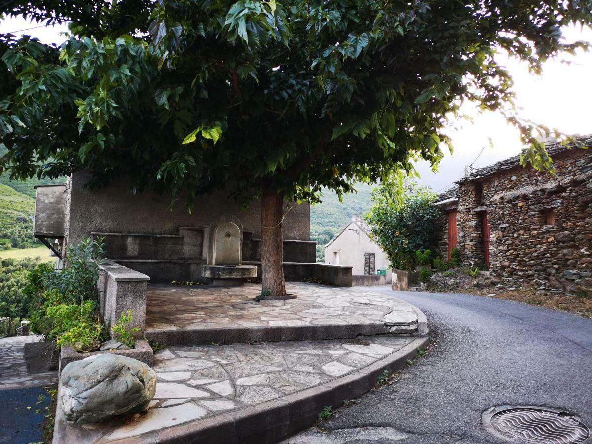 Maison De Village A 2 Km De La Mer Sisco Cap Corse 15 Kms Bastia ภายนอก รูปภาพ